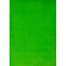 Ref. 78591 - DECALQUE FOLHA CHAPADA VERDE LIMAO 1320/001
